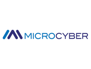 Microcyber